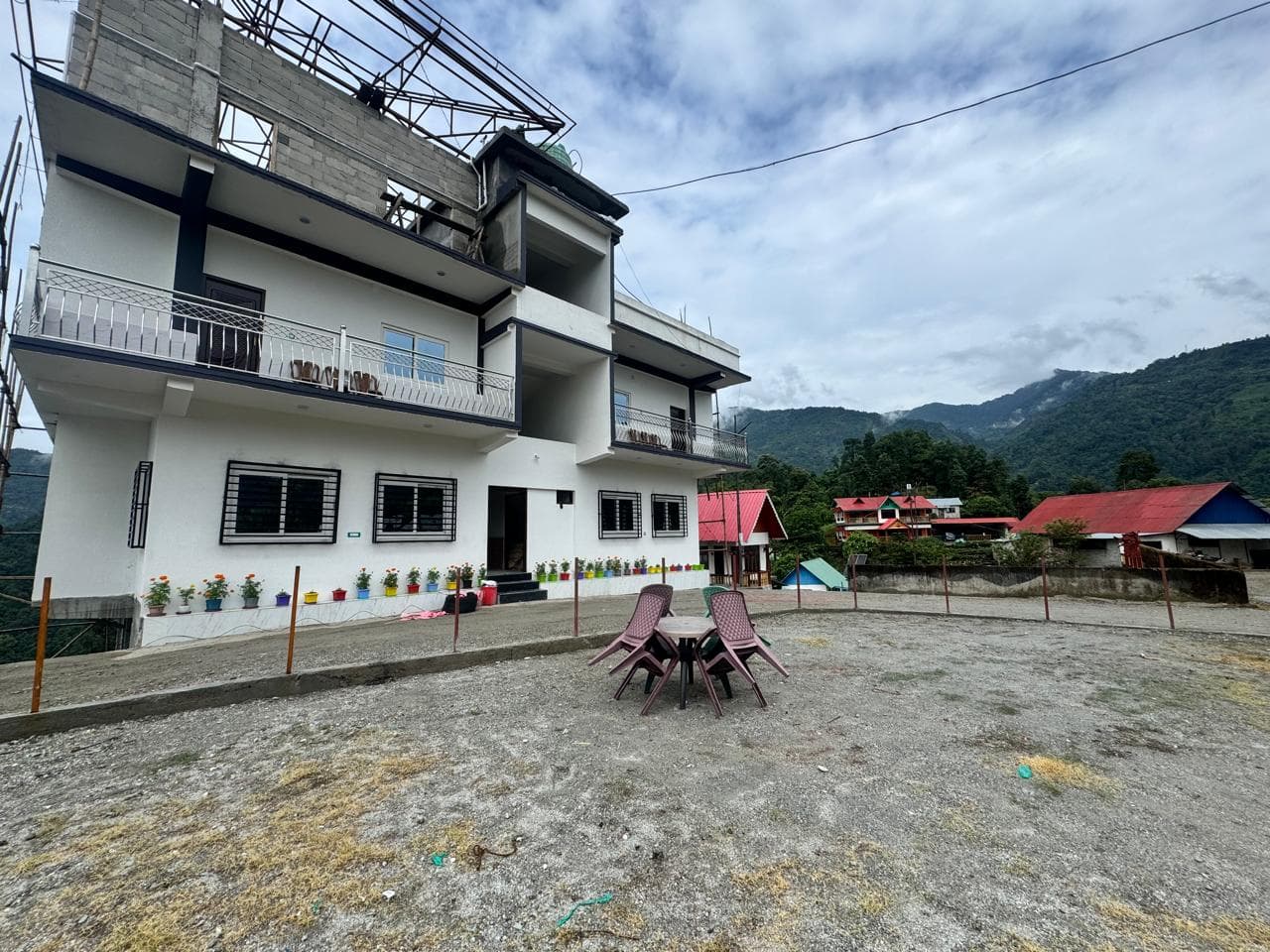 Lush Forest Surroundings